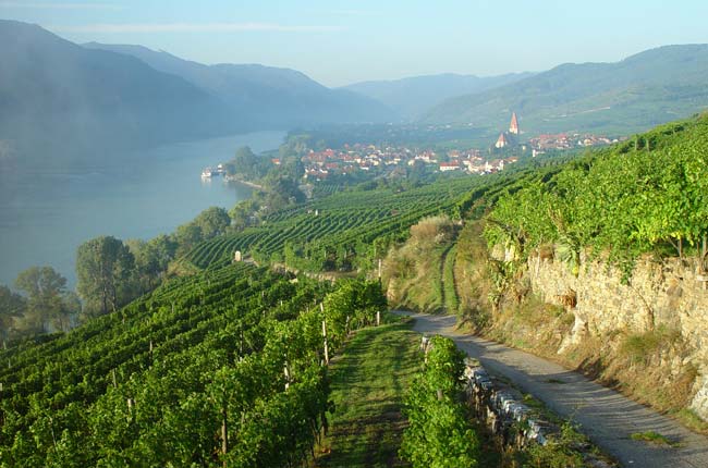 wachau 3